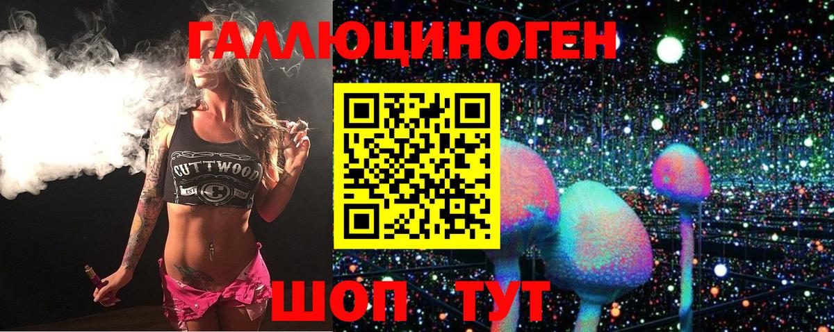 Галлюциногенные грибы Psilocybe  хочу   Энгельс  Вход с VPN 
